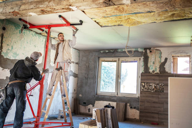 Best Insulation Removal  in Mayville, ND